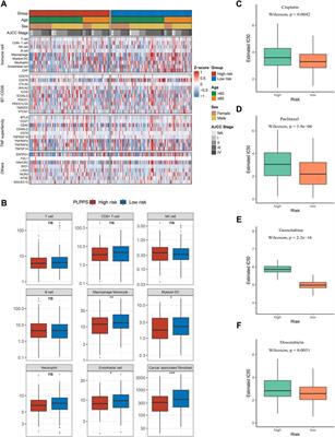 Integrated Analysis of Multi-Omics Alteration, Immune Profile, and Pharmacological Landscape of Pyroptosis-Derived lncRNA Pairs in Gastric Cancer